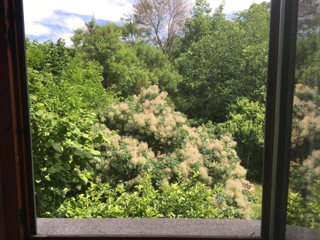 Garden Hostel *